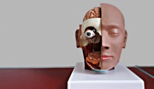 医療脱毛で顔を安く受けるためのプランは？