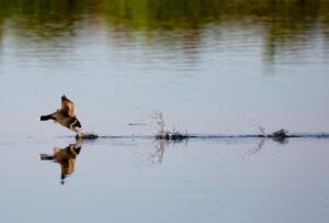 医療脱毛の月額プランは格安で受けられるのか？
