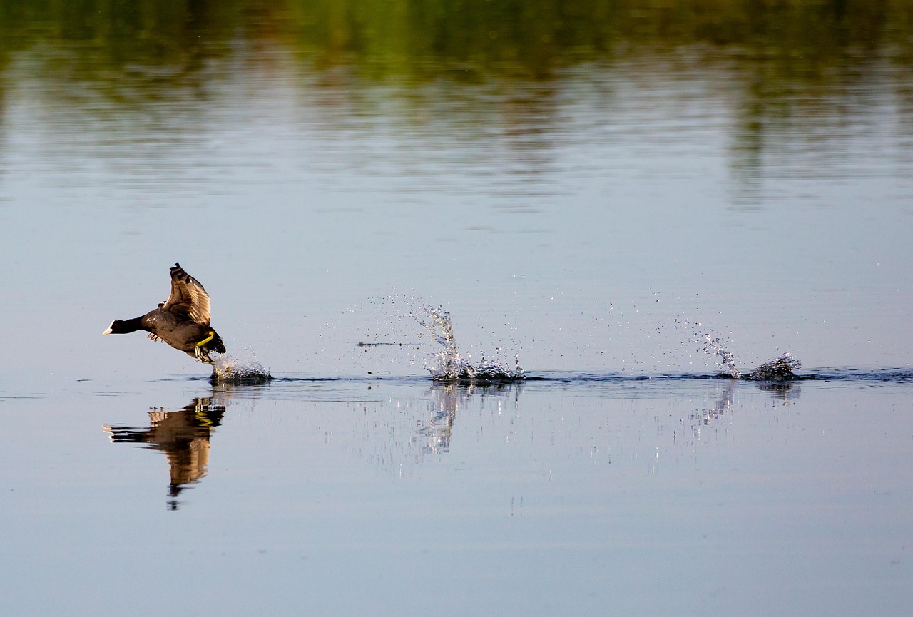 医療脱毛の月額プランは格安で受けられるのか？