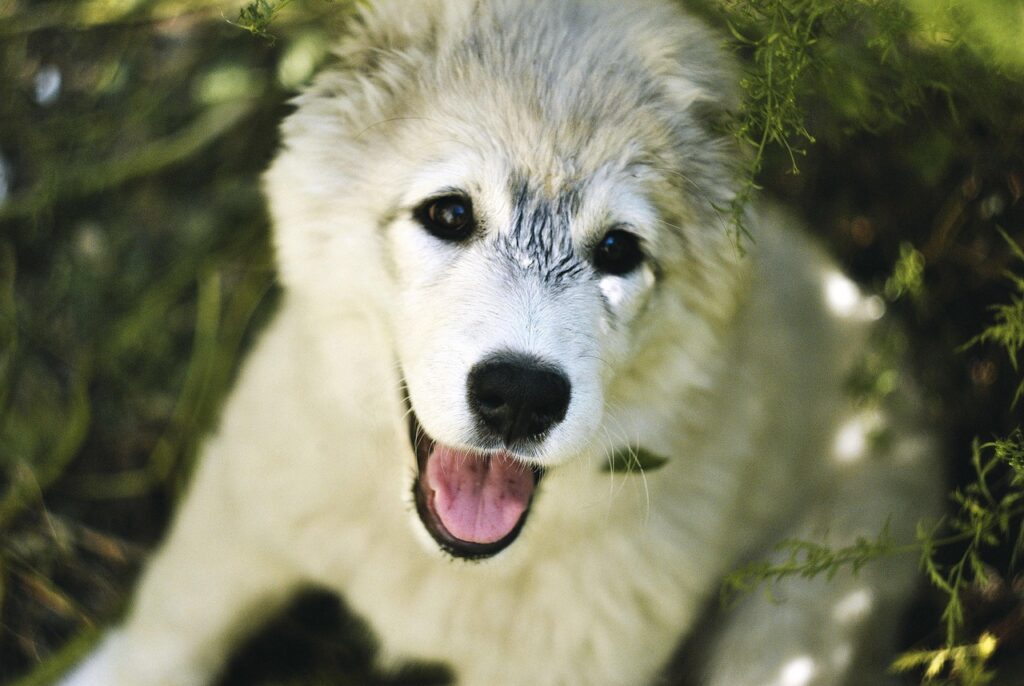 医療脱毛でコスパ最強の施術方法は？