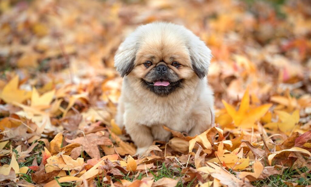 安さの落とし穴とは何か？