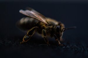 医療脱毛を大阪で安く受ける方法は？