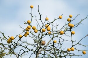 最安保証は本当なのか、徹底検証しましたか？