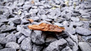 医療脱毛の限定キャンペーンはどれが一番お得？